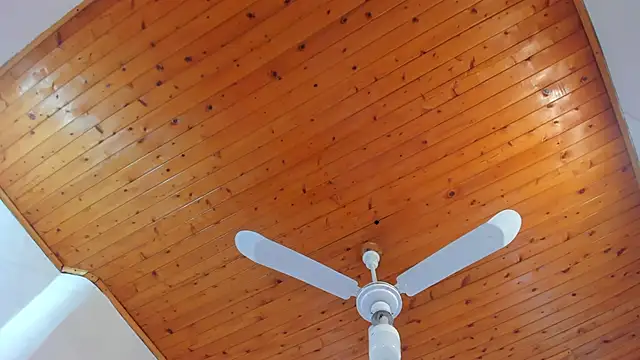 denisse khan online show from October 17, 11:46 am