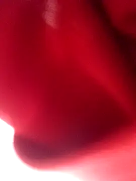 nalgastalla60 online show from February 6, 3:55 am