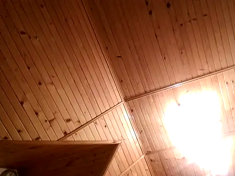 tibci12789 online show from December 5, 7:54 pm