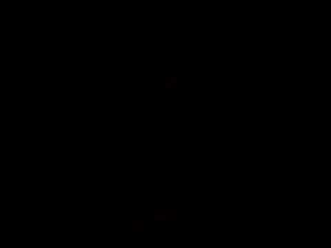 YoussefAl-Fahl online show from October 15, 10:21 pm