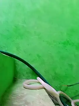 Karishma cute online show from November 29, 4:48 am