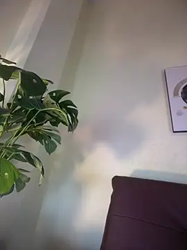 NovaFoxx online show from February 15, 1:52 pm