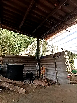 -Kem-01 online show from February 26, 5:17 am