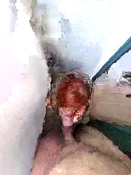 PorcelainDoll1 online show from January 14, 11:38 am