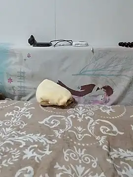 caige8888 online show from November 17, 11:05 am