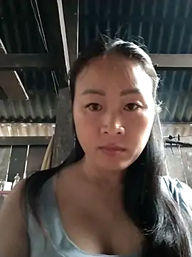 Spring-mky online show from November 1, 9:11 am