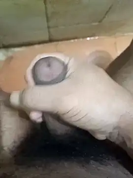 muster121 online show from December 16, 3:39 pm