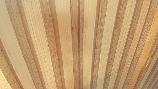 mia  blaze   online show from December 22, 3:03 am