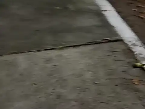 roludao fun online show from December 4, 10:07 pm