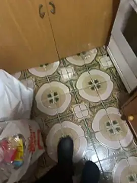 Anaconda Negra20 online show from December 16, 6:13 pm