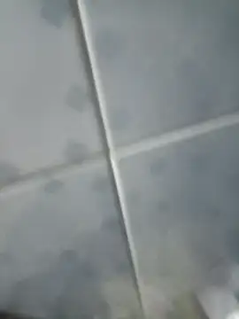 INTIMACY123 online show from November 3, 2:57 am