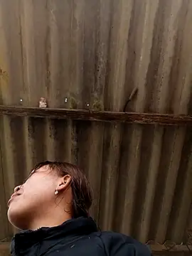 Snapshot of sowbibi chatting on February 8, 5:11 am sowbibi online show from February 8, 5:11 am