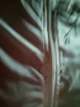 Snapshot of sowbibi chatting on February 28, 5:41 am sowbibi online show from February 28, 5:41 am