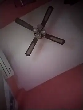 Danii2005 online show from November 6, 1:34 pm