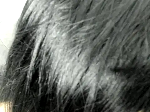 Amminna online show from November 29, 12:35 am