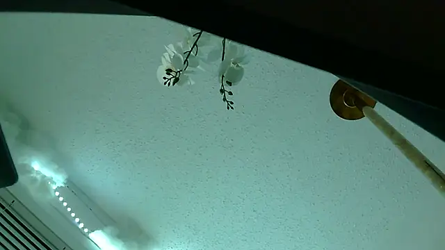 playxrated online show from April 10, 8:19 am