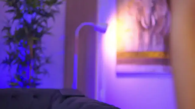 Aisha Bee online show from April 4, 8:45 am