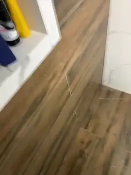 bfelipedasilva online show from December 21, 11:50 am