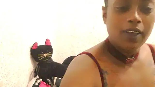 DOVE85 online show from December 15, 11:47 am