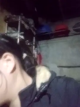 Noelle-e online show from February 3, 11:15 am