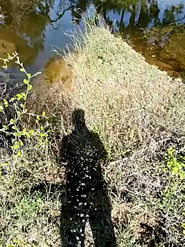 devil boy 0909 online show from November 7, 5:29 am