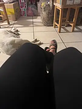 Evil kitty6 online show from December 15, 12:26 am