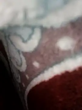 bigtelugubhama online show from November 22, 11:09 am