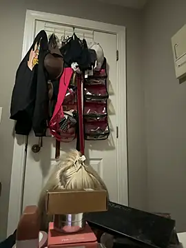 Snapshot of SilverSeductress chatting on January 12, 10:42 am SilverSeductress online show from January 12, 10:42 am