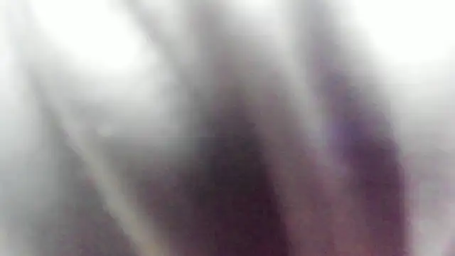 Snapshot of wild_best chatting on February 16, 3:19 pm wild best online show from February 16, 3:19 pm