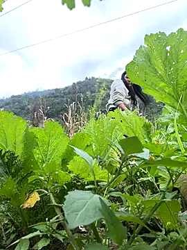 heodat-sexx online show from December 17, 9:48 am