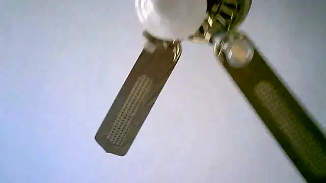 Snapshot of Sylviastar46 chatting on November 11, 2:50 pm Sylviastar46 online show from November 11, 2:50 pm