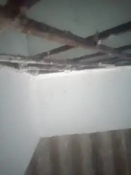 Pallu Asha online show from March 19, 12:58 am