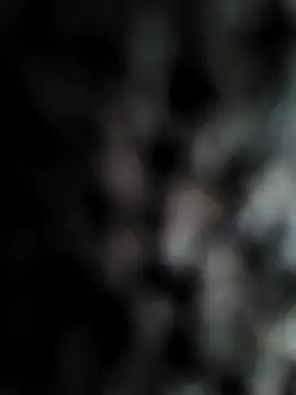 cum daily1 online show from April 21, 8:09 am