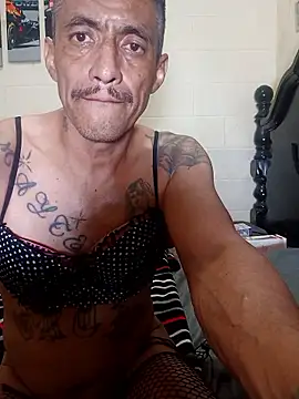 Innsacianle online show from February 20, 7:10 am