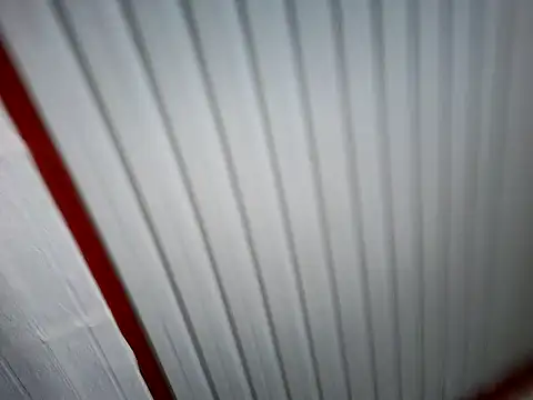 xwildflowerx online show from March 3, 9:21 pm