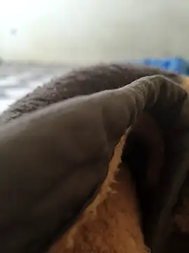 Realverse online show from November 5, 4:40 pm