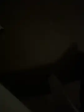 hensydh online show from November 2, 5:04 pm