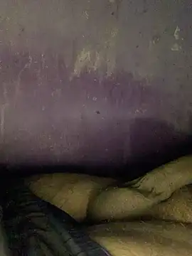 hotman29 online show from November 24, 8:52 pm