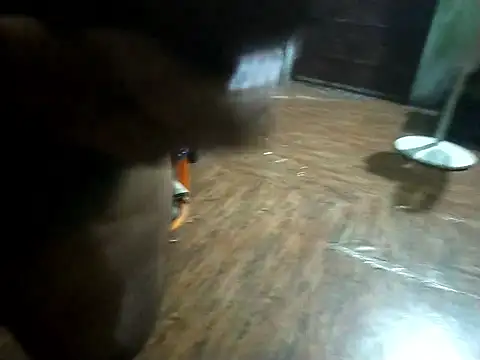 Snapshot of BdTinyDick chatting on November 11, 6:19 pm BdTinyDick online show from November 11, 6:19 pm