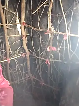 Jooli cuty online show from February 20, 11:11 am