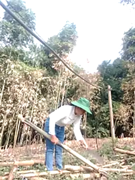 be-yeu online show from December 23, 2:20 am