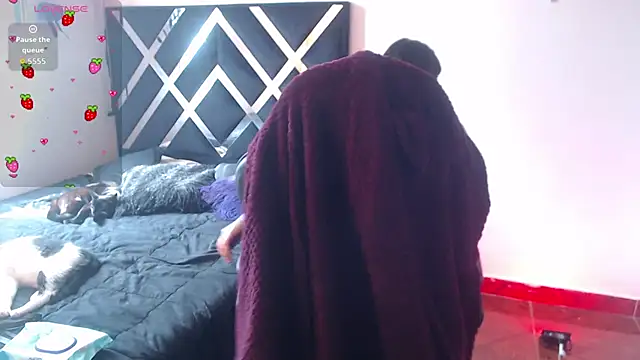 Zooee 01 online show from November 29, 2:20 pm