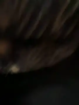 caramello-48888 online show from April 7, 5:24 pm