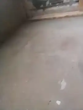 Lollittaxxxx2 online show from November 11, 10:15 am