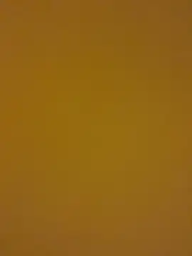 Snapshot of kentojp chatting on November 14, 1:43 pm kentojp online show from November 14, 1:43 pm