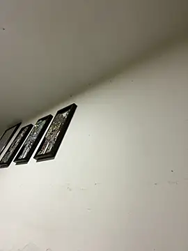 gatito polo69 online show from January 6, 2:04 am