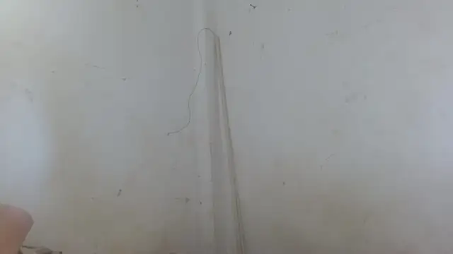 the breasts of desir  online show from November 11, 1:55 pm