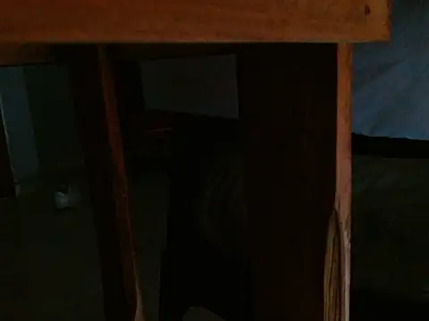 Snapshot of Dangerhook chatting on November 24, 11:32 am Dangerhook online show from November 24, 11:32 am