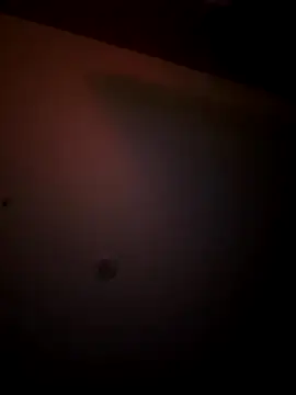 mixedswanger online show from November 24, 7:19 am