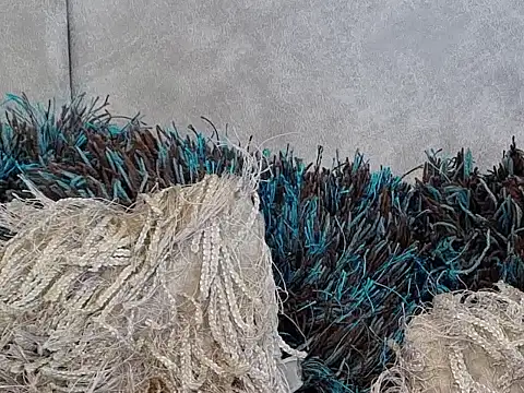 LannyShell online show from November 26, 5:25 pm